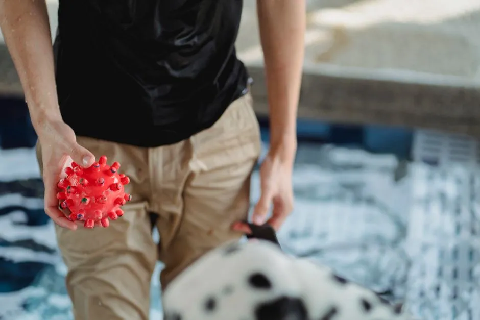 The Power Chewer's Buying Guide: How to Choose Dog Toys That Actually Last